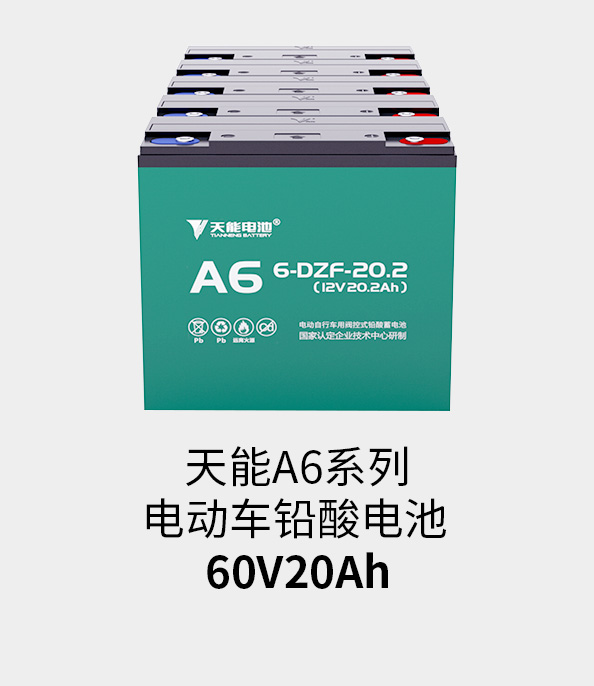 ϸֲ60v20ah